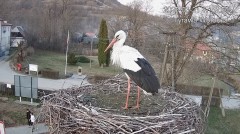 IMG_8585.jpeg