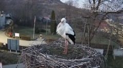 IMG_8586.jpeg