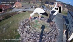 IMG_4751.jpeg