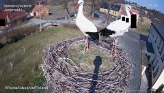 IMG_4755.jpeg