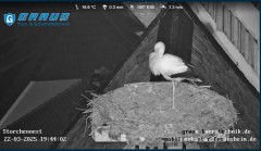 bandicam 2025-03-22 19-44-34-291.jpg