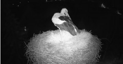 IMG_8786.jpeg