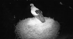 IMG_8789.jpeg