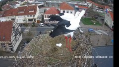 IMG_4774.jpeg