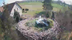 2025-03-23 10_45_32-20250323_102937.mp4.png