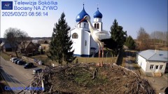 IMG_8952.jpeg