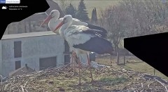 IMG_8982.jpeg