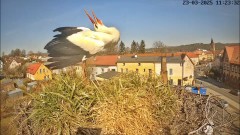 IMG_8990.jpeg