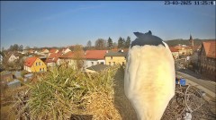 IMG_8996.jpeg