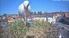 IMG_9004.jpeg