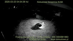IMG_9076.jpeg