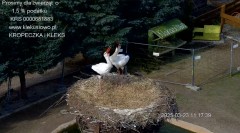 IMG_9060.jpeg