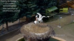 IMG_9064.jpeg