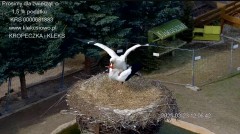 IMG_9067.jpeg