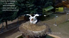 IMG_9069.jpeg