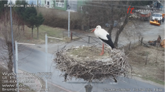 2025-03-23 13_54_28-Bociany Lesko - live stream - Maxthon.png
