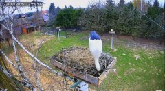 IMG_9133.jpeg