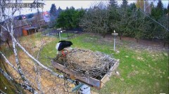 IMG_9135.jpeg