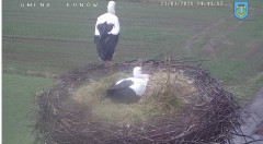 IMG_9112.jpeg