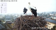 IMG_9160.jpeg