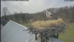 IMG_9102.jpeg