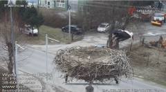 2025-03-24 12_10_09-Bociany Lesko - live stream - Maxthon.png