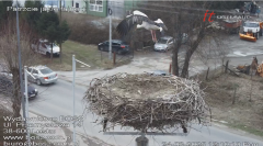 2025-03-24 12_10_17-Bociany Lesko - live stream - Maxthon.png