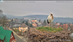 2025-03-24 13_27_09-Bocianie Gniazdo Podgórzyn - Kamera na żywo - Live 2024 - YouTube - Maxthon.png