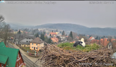2025-03-24 13_27_26-Bocianie Gniazdo Podgórzyn - Kamera na żywo - Live 2024 - YouTube - Maxthon.png