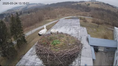2025-03-24 14_04_09-[stimotion.pl] Bociany w Rzepedzi - YouTube - Maxthon.png