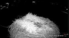 IMG_4839.jpeg