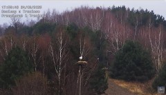 IMG_9631.jpeg