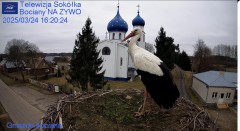 IMG_9603.jpeg