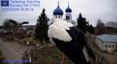 IMG_9608.jpeg