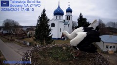 IMG_9612.jpeg