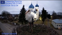 IMG_9615.jpeg