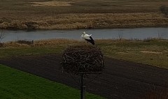 IMG_9353.jpeg
