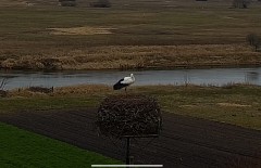 IMG_9385.jpeg