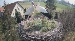 IMG_9285.jpeg