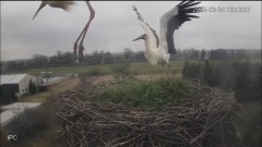 IMG_9371.jpeg