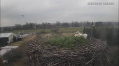 IMG_9373.jpeg