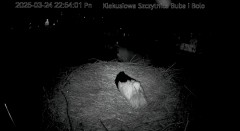 IMG_9679.jpeg