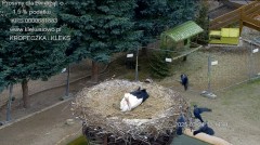 IMG_9664.jpeg