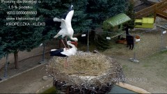IMG_9667.jpeg