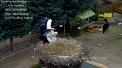 IMG_9671.jpeg