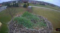 IMG_4857.jpeg