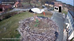 IMG_4858.jpeg