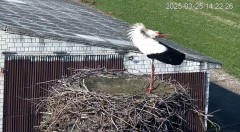 IMG_0050.jpeg