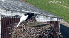 IMG_0039.jpeg