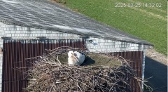 IMG_0045.jpeg